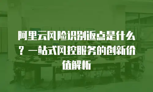 阿里云风险识别返点是什么？一站式风控服务的创新价值解析