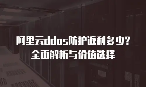 阿里云ddos防护返利多少？全面解析与价值选择