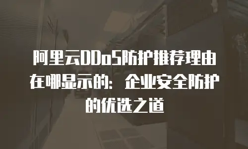 阿里云DDoS防护推荐理由在哪显示的：企业安全防护的优选之道