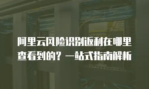 阿里云风险识别返利在哪里查看到的？一站式指南解析