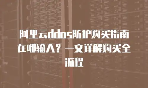 阿里云ddos防护购买指南在哪输入？一文详解购买全流程