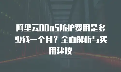 阿里云DDoS防护费用是多少钱一个月？全面解析与实用建议
