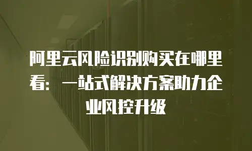 阿里云风险识别购买在哪里看：一站式解决方案助力企业风控升级