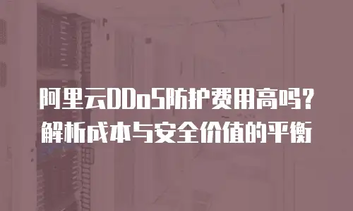 阿里云DDoS防护费用高吗？解析成本与安全价值的平衡