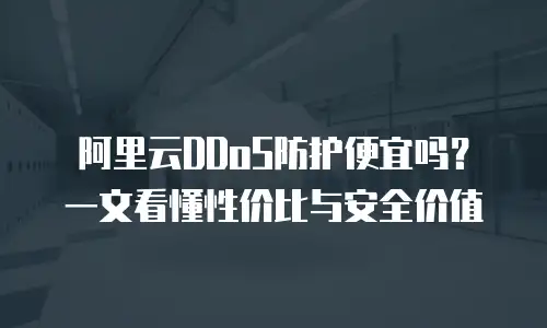 阿里云DDoS防护便宜吗？一文看懂性价比与安全价值