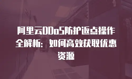 阿里云DDoS防护返点操作全解析：如何高效获取优惠资源
