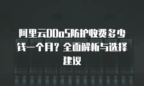 阿里云DDoS防护收费多少钱一个月？全面解析与选择建议