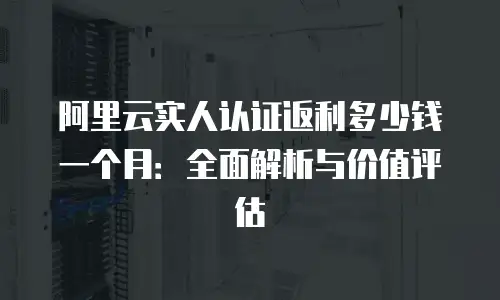 阿里云实人认证返利多少钱一个月：全面解析与价值评估