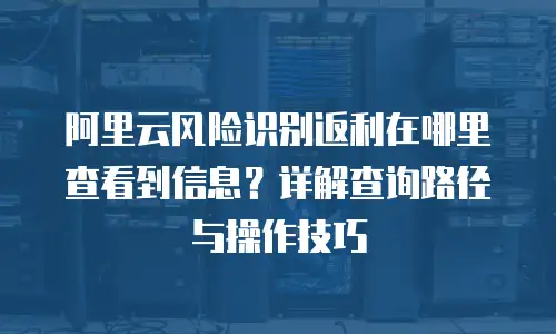 阿里云风险识别返利在哪里查看到信息？详解查询路径与操作技巧