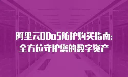 阿里云DDoS防护购买指南：全方位守护您的数字资产
