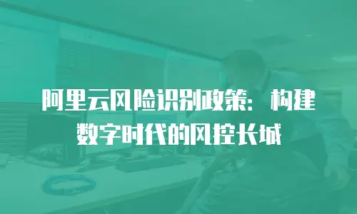 阿里云风险识别政策：构建数字时代的风控长城