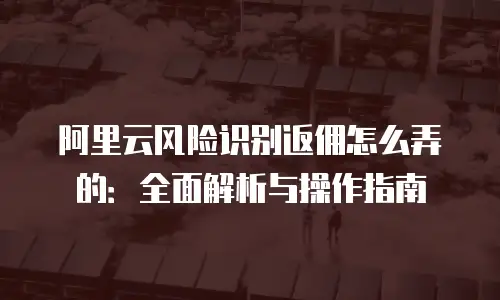 阿里云风险识别返佣怎么弄的：全面解析与操作指南