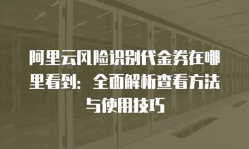 阿里云风险识别代金券在哪里看到：全面解析查看方法与使用技巧