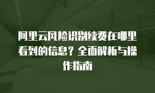 阿里云风险识别续费在哪里看到的信息？全面解析与操作指南
