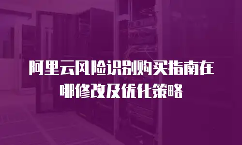 阿里云风险识别购买指南在哪修改及优化策略