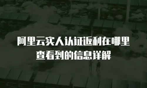 阿里云实人认证返利在哪里查看到的信息详解