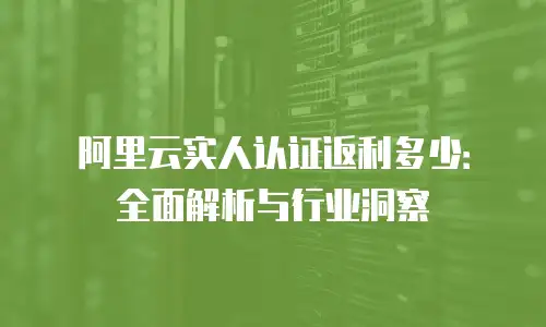 阿里云实人认证返利多少：全面解析与行业洞察