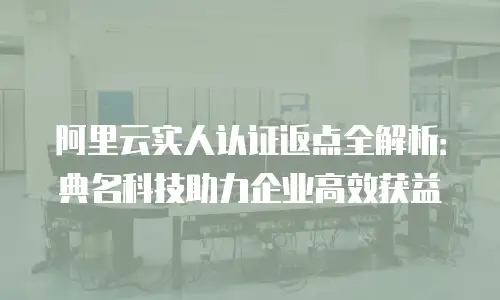 阿里云实人认证返点全解析：典名科技助力企业高效获益