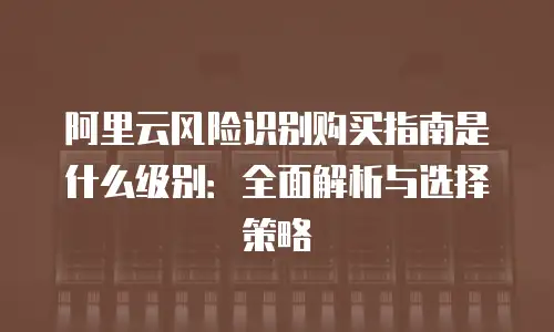 阿里云风险识别购买指南是什么级别：全面解析与选择策略