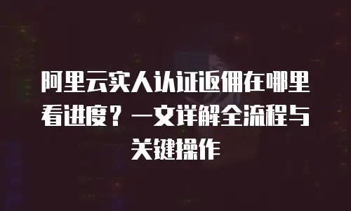 阿里云实人认证返佣在哪里看进度？一文详解全流程与关键操作