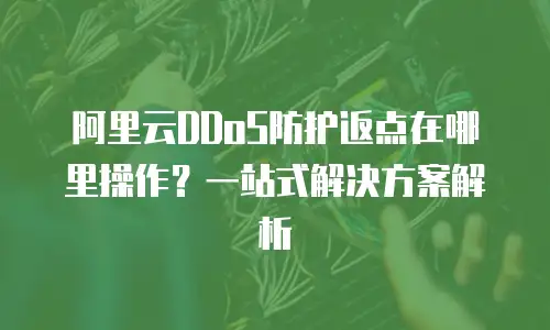 阿里云DDoS防护返点在哪里操作？一站式解决方案解析