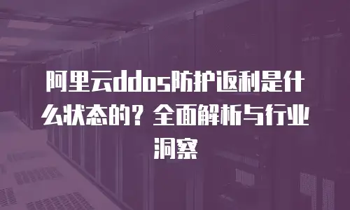 阿里云ddos防护返利是什么状态的？全面解析与行业洞察