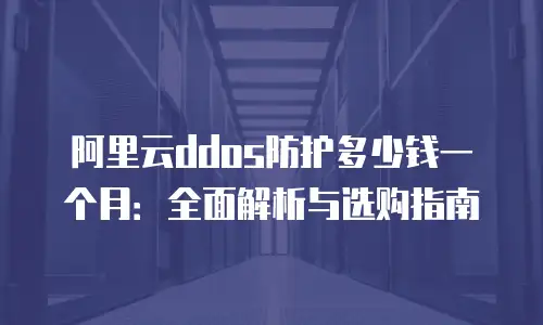 阿里云ddos防护多少钱一个月：全面解析与选购指南