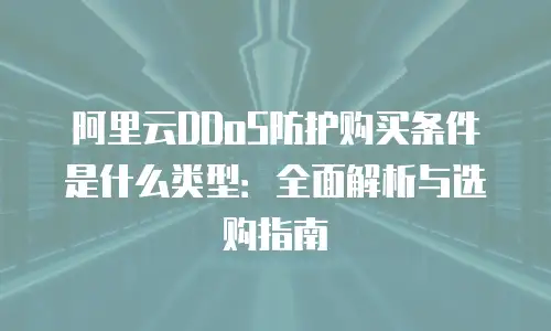 阿里云DDoS防护购买条件是什么类型：全面解析与选购指南