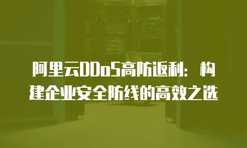 阿里云DDoS高防返利：构建企业安全防线的高效之选