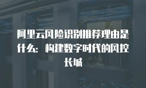 阿里云风险识别推荐理由是什么：构建数字时代的风控长城