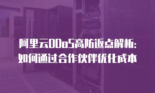 阿里云DDoS高防返点解析：如何通过合作伙伴优化成本