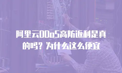 阿里云DDoS高防返利是真的吗？为什么这么便宜