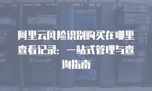 阿里云风险识别购买在哪里查看记录：一站式管理与查询指南