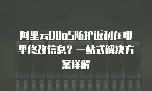 阿里云DDoS防护返利在哪里修改信息？一站式解决方案详解