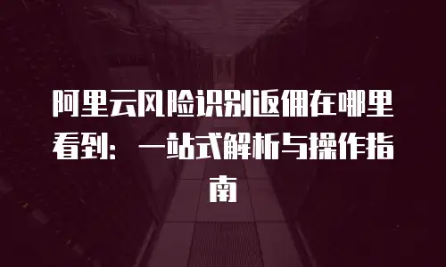 阿里云风险识别返佣在哪里看到：一站式解析与操作指南