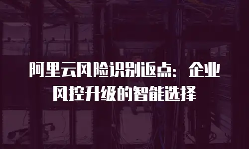 阿里云风险识别返点：企业风控升级的智能选择
