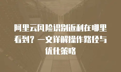 阿里云风险识别返利在哪里看到？一文详解操作路径与优化策略