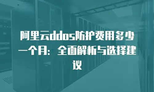 阿里云ddos防护费用多少一个月：全面解析与选择建议