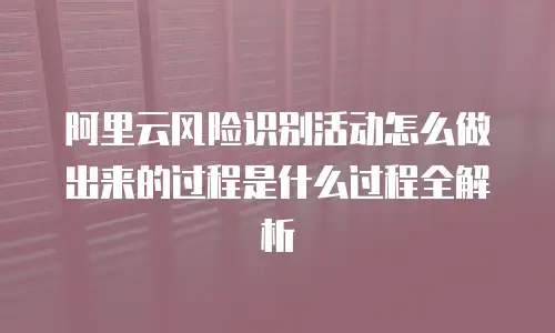 阿里云风险识别活动怎么做出来的过程是什么过程全解析