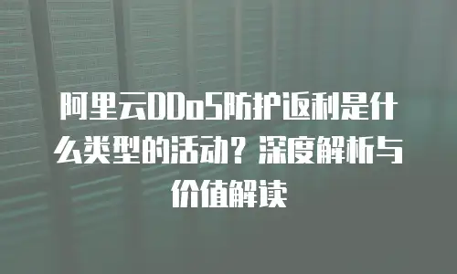 阿里云DDoS防护返利是什么类型的活动？深度解析与价值解读