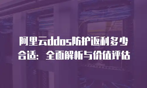 阿里云ddos防护返利多少合适：全面解析与价值评估