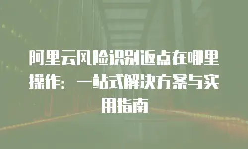 阿里云风险识别返点在哪里操作：一站式解决方案与实用指南
