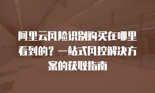 阿里云风险识别购买在哪里看到的？一站式风控解决方案的获取指南