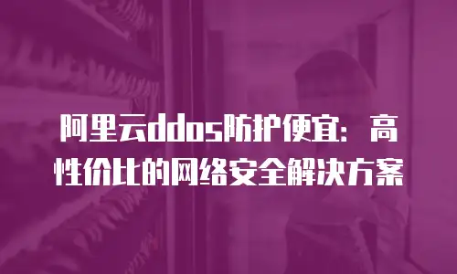 阿里云ddos防护便宜：高性价比的网络安全解决方案