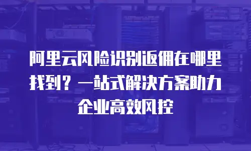 阿里云风险识别返佣在哪里找到？一站式解决方案助力企业高效风控