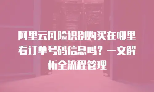 阿里云风险识别购买在哪里看订单号码信息吗？一文解析全流程管理