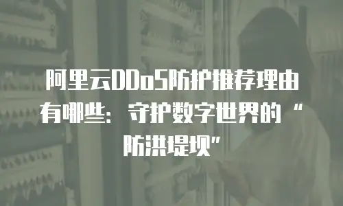 阿里云DDoS防护推荐理由有哪些：守护数字世界的“防洪堤坝”