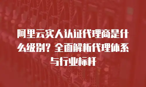 阿里云实人认证代理商是什么级别？全面解析代理体系与行业标杆