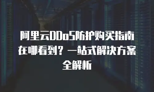 阿里云DDoS防护购买指南在哪看到？一站式解决方案全解析