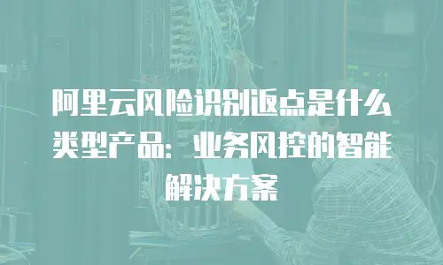 阿里云风险识别返点是什么类型产品：业务风控的智能解决方案